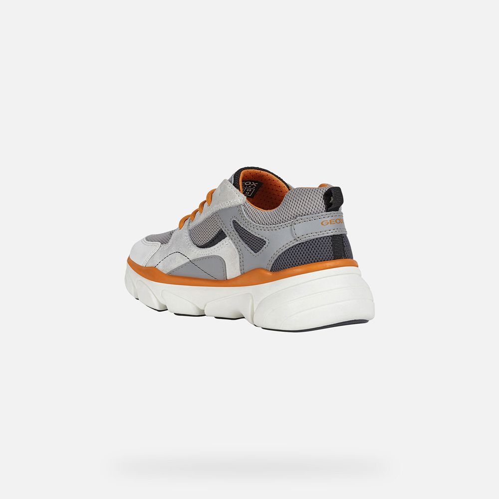 Geox Sneakers Grey/Orange Lunare - Geox Boys Shoes - NPDUIZ498